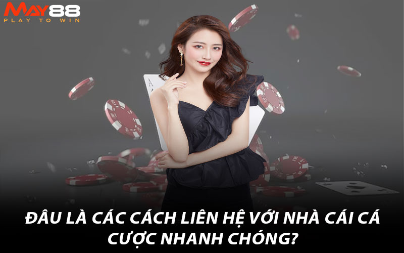 Đâu là các cách liên hệ với nhà cái cá cược nhanh chóng?