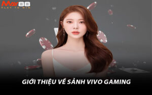 Giới thiệu về sảnh Vivo Gaming